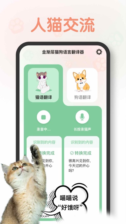 动物翻译器&宠物翻译器-猫语翻译器:金渐层猫狗翻译