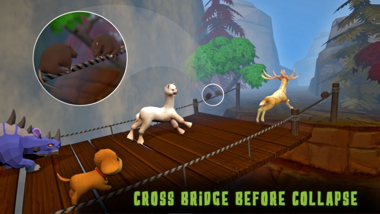 Animal Run- Racing Games screenshot-4