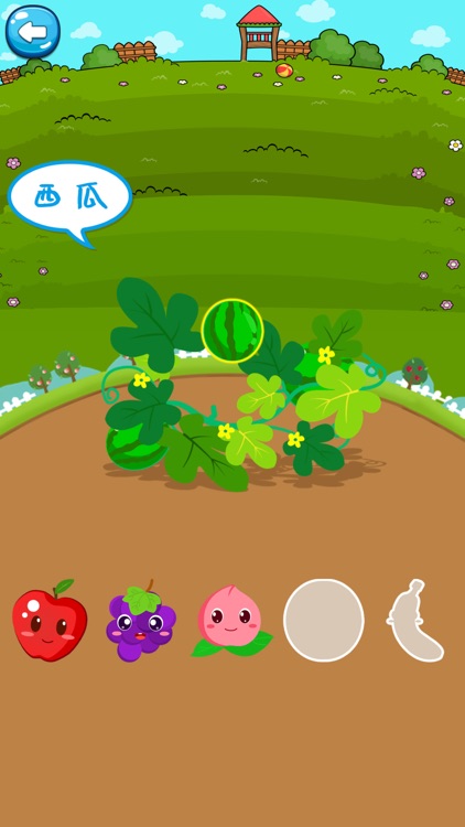 水果超市-趣味食物、水果蔬菜植物认知启蒙