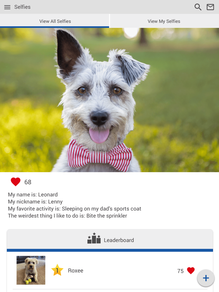 North Kenny Vet Hospital