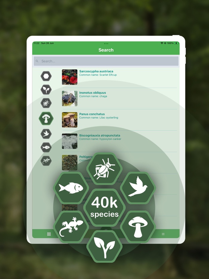 Widinet ID - Natural scanner