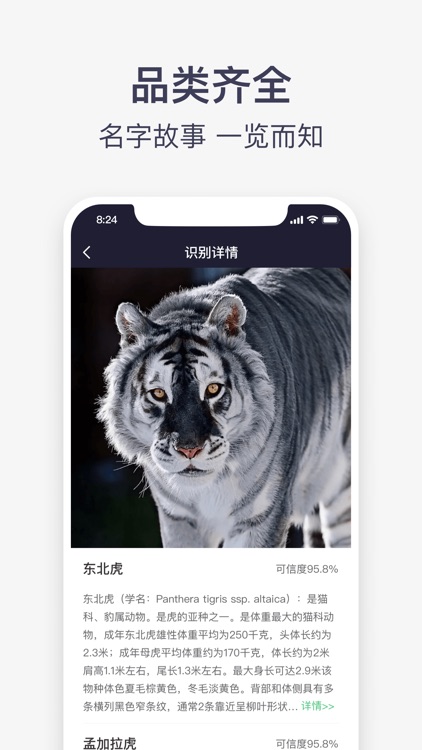 识别全能王-全能识别王