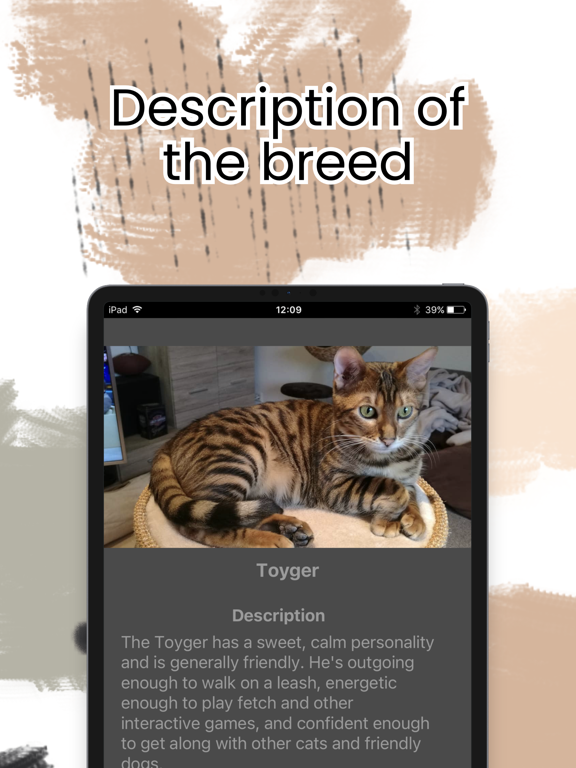 Cat Breeds - Cat Encyclopedia screenshot 2