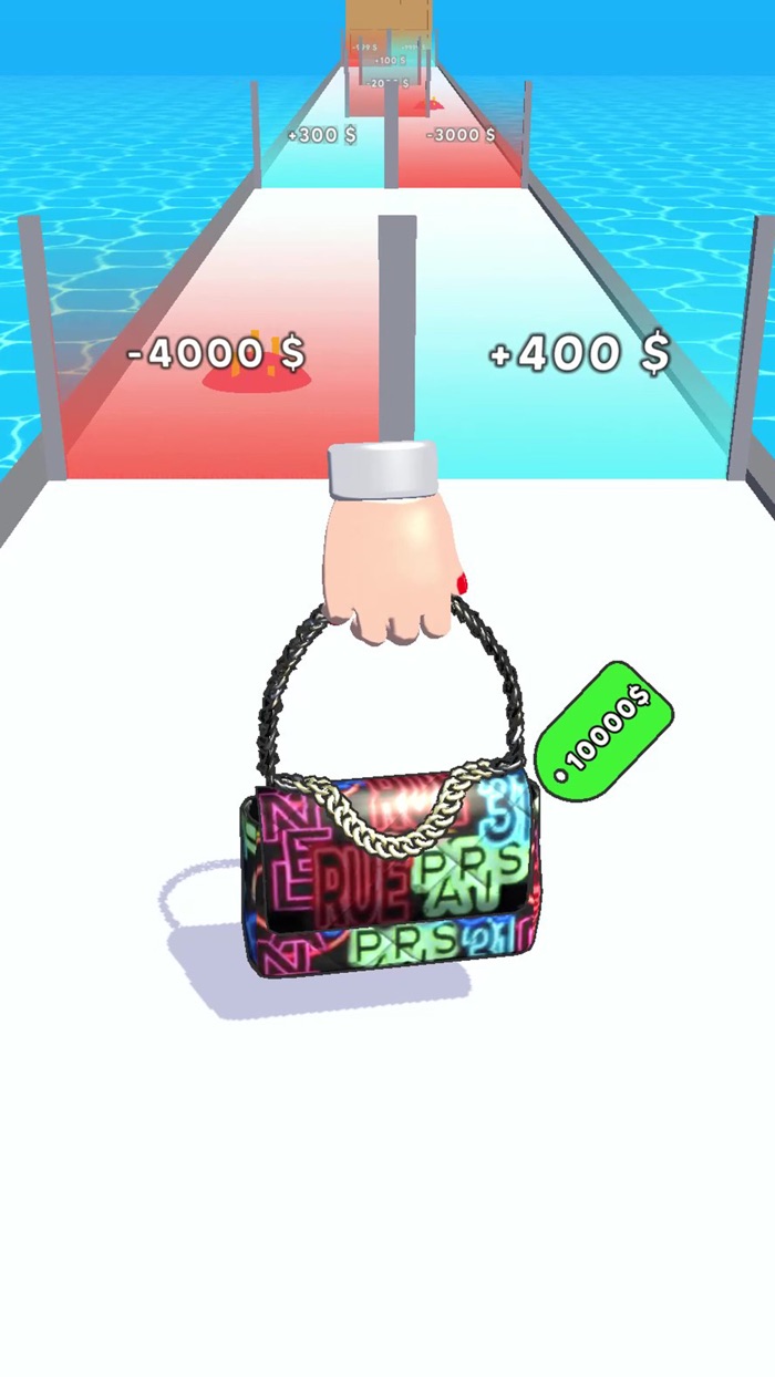 Purse Evolution 3D
