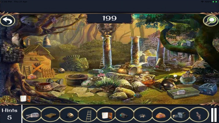 Treasure Hunt Hidden Objects