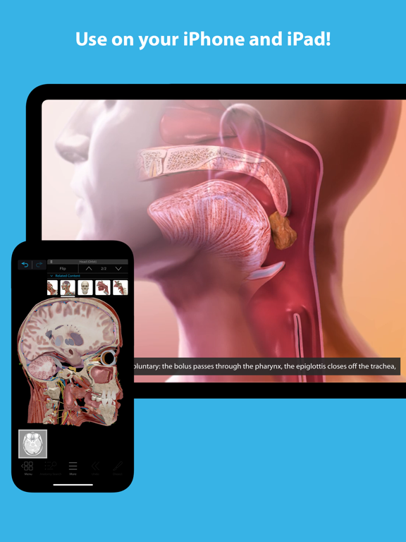 Human Anatomy Atlas 2023 ipad ekran görüntüleri