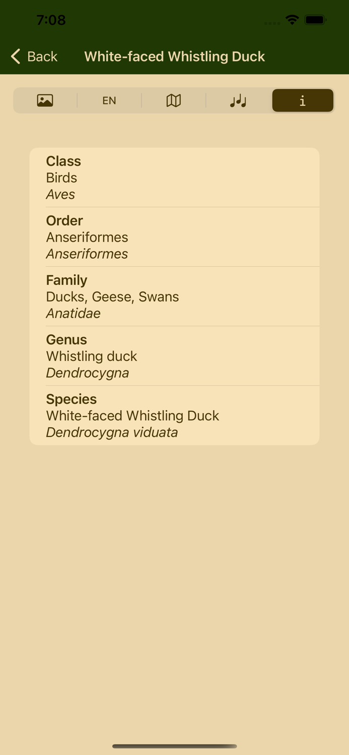 Birds of South Africa