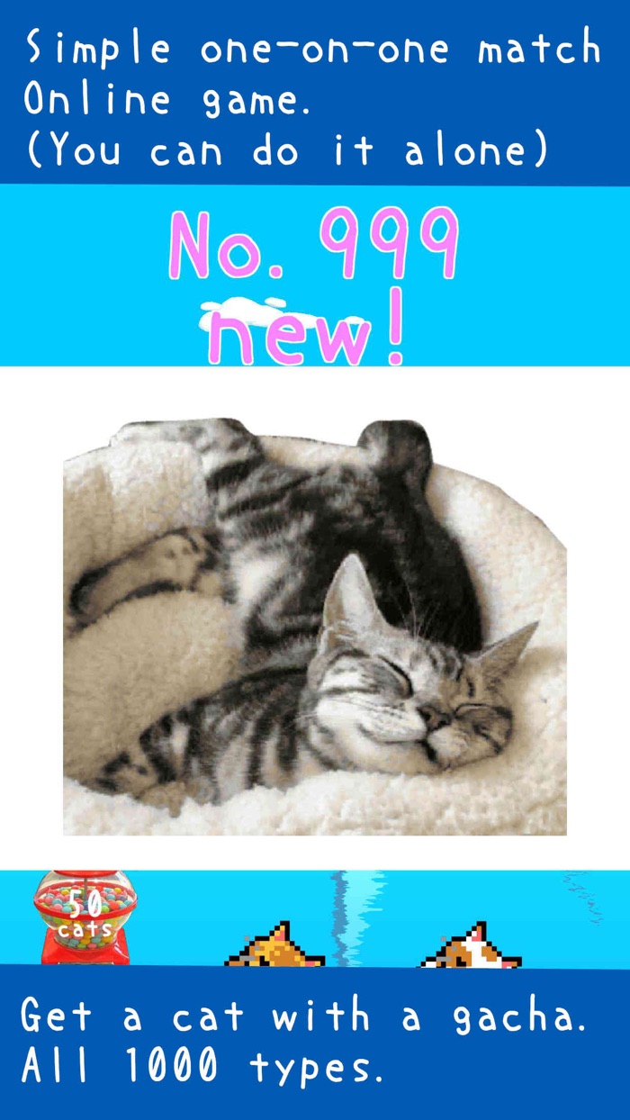 Cat tower ship - online match