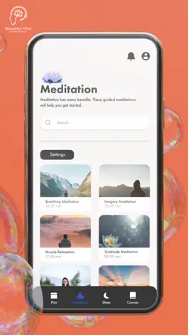 Game screenshot Beautiful Mind Meditation App hack