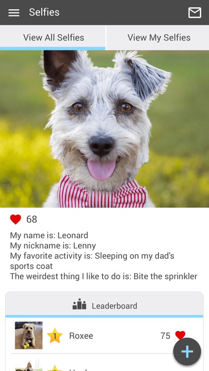 Northside Animal Vet screenshot-3