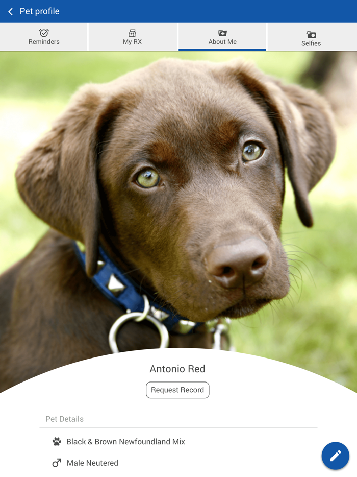 Shaffer Animal Hospital