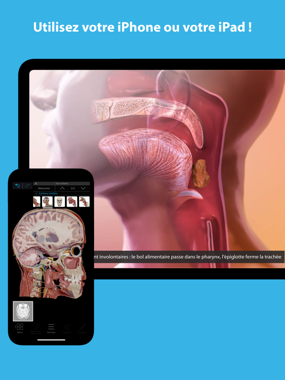 Atlas d'anatomie humaine 2023 Atlas d'anatomie humaine 2023