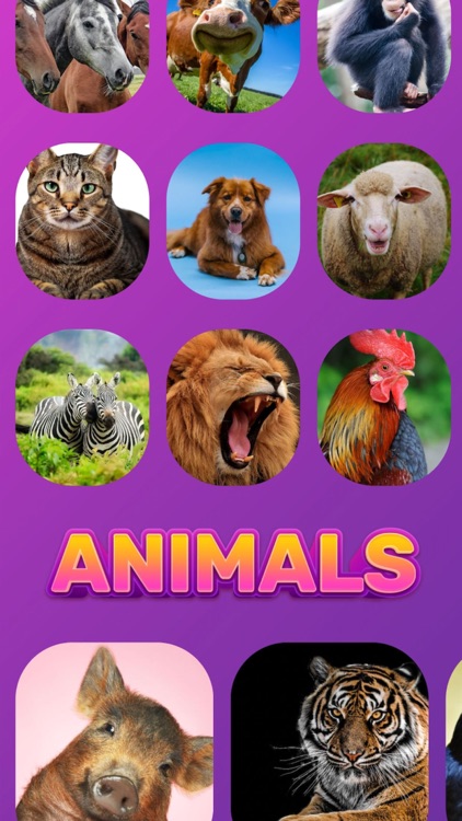 Popular Animal Sounds for Kids screenshot-9