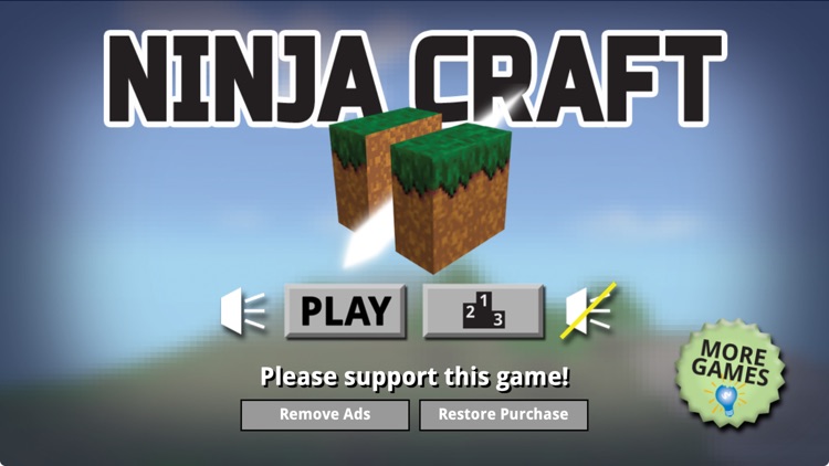 Ninja Craft - Find Gems Game