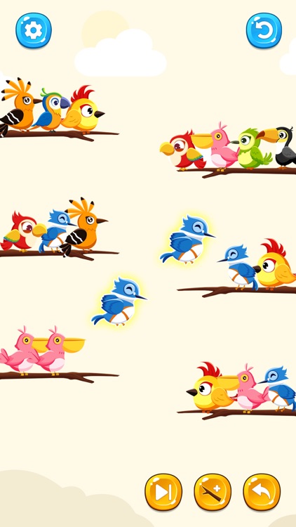 Color Bird Game: Sort It Now