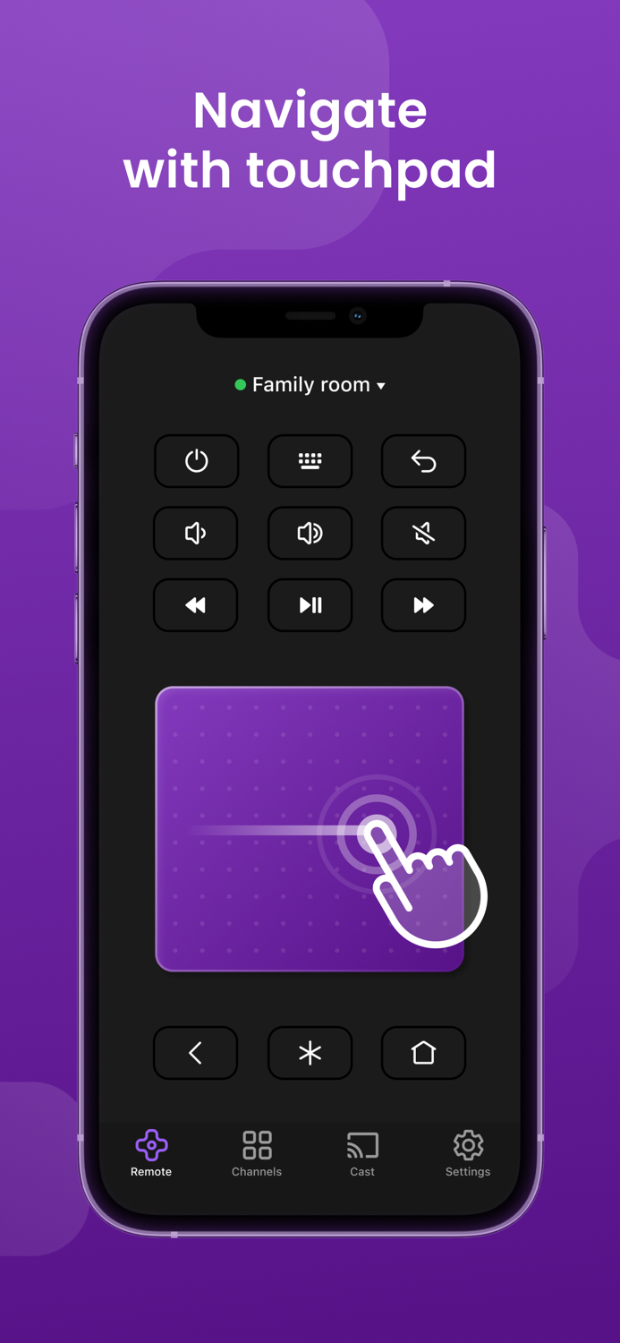 Remote - Universal TV Control