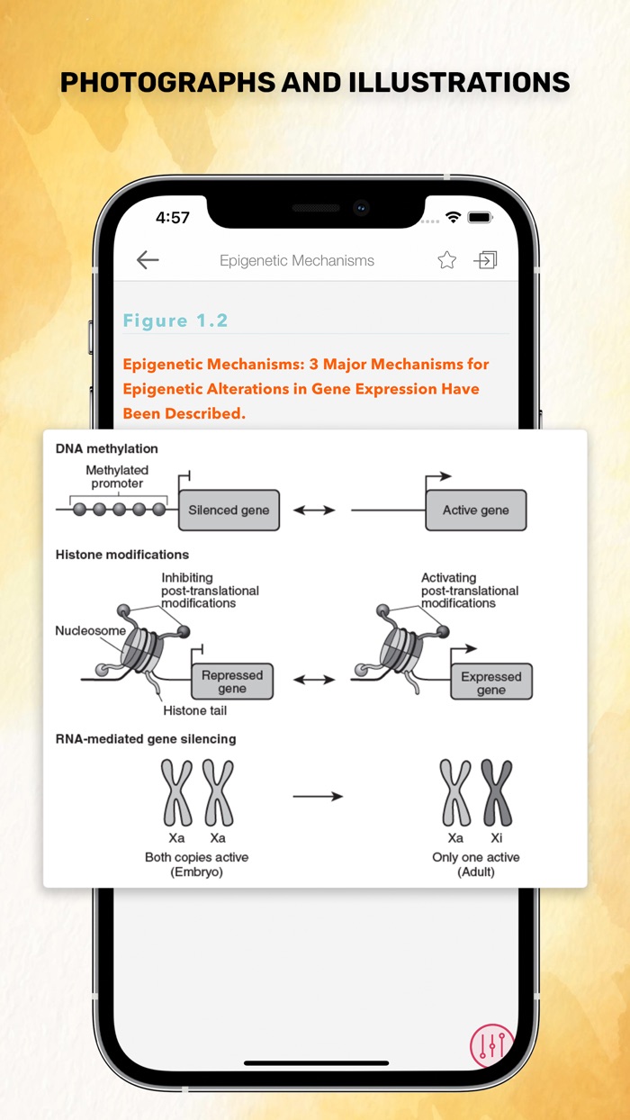 Pediatric Nutrition Guide