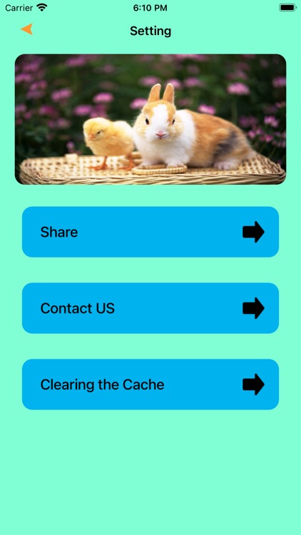 Pet Reservation In Vietnam screenshot-3