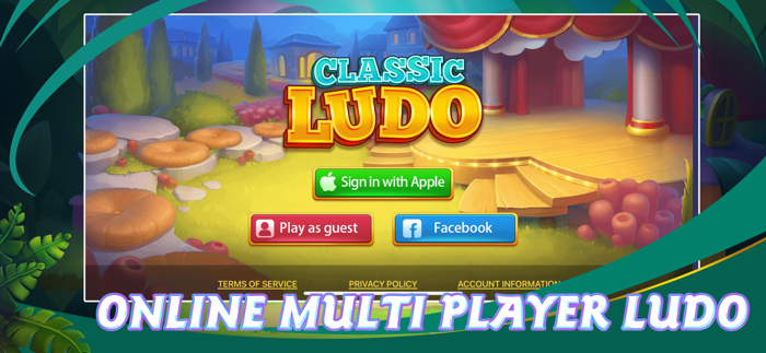 Classic Ludo - Board Game