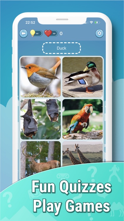 Animals quiz guess mammals zoo screenshot-5