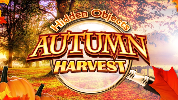 Hidden Objects Autumn Fall Pic