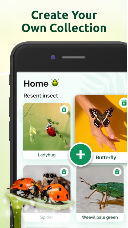 Bug Identifier - Insect ID App