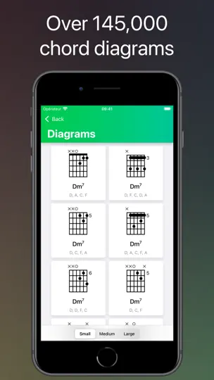 Screenshot von ChordShapes : Guitar Chords auf dem iPhone 3