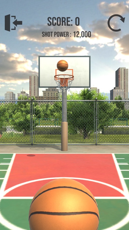 Basketball Court Dunk Shoot