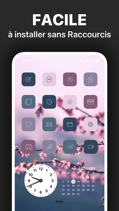Brass - Icônes & Widgets Brass - Icônes & Widgets