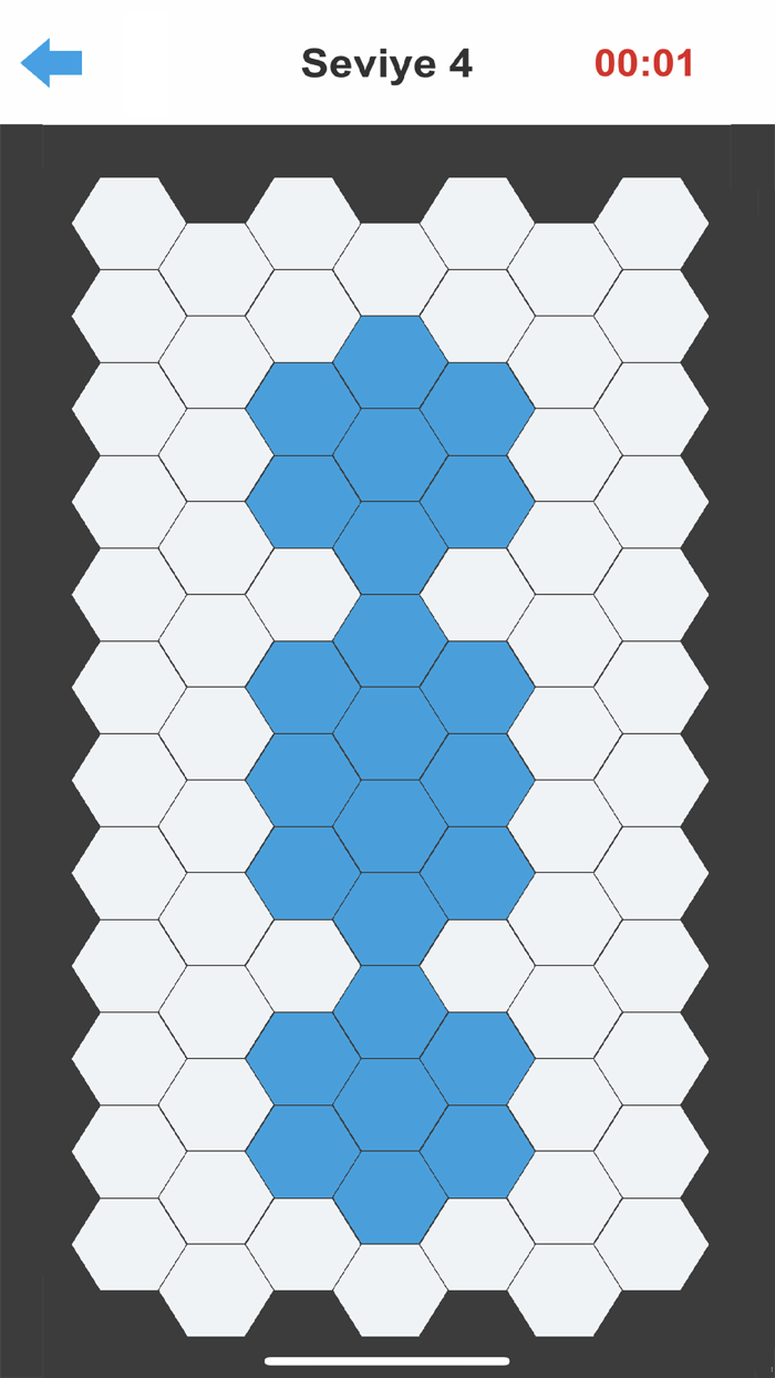 Hexagonal Way