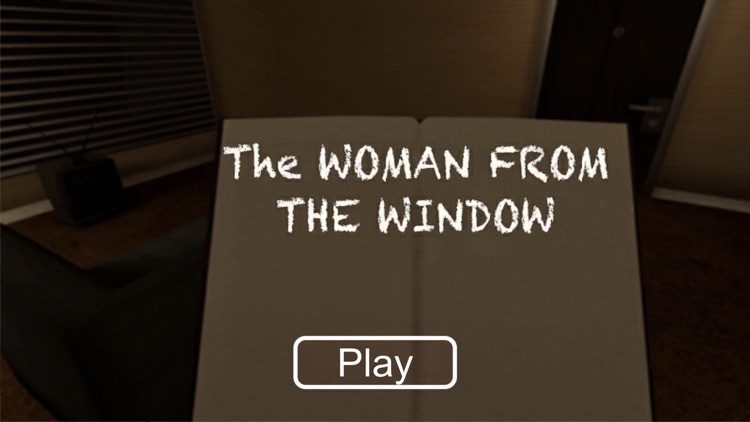 The Woman From The Window Game screenshot-0