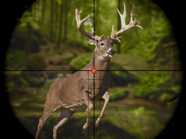 deer hunter 2022 itunes