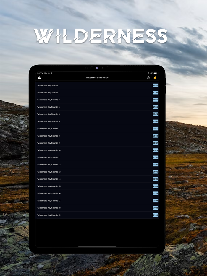 Day Wilderness Sounds Sleeping