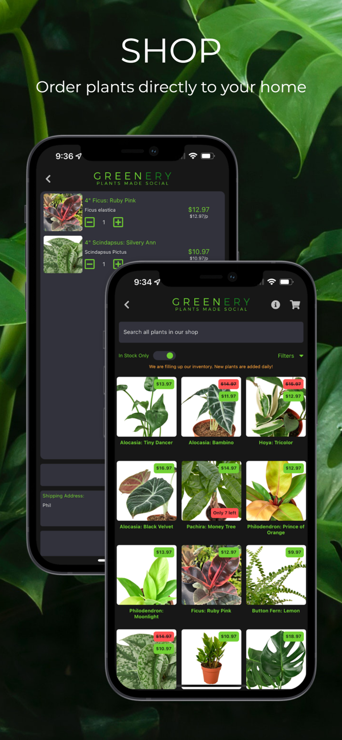 Greenery Plants Made Social