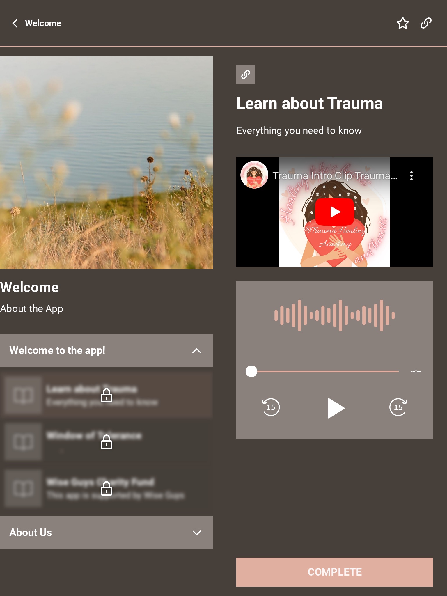 Trauma Healing Academy screenshot 3