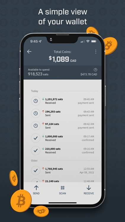 Well Wallet - BitcoinWell screenshot-3