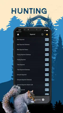 Game screenshot Squirrel Magnet Squirrel Calls apk