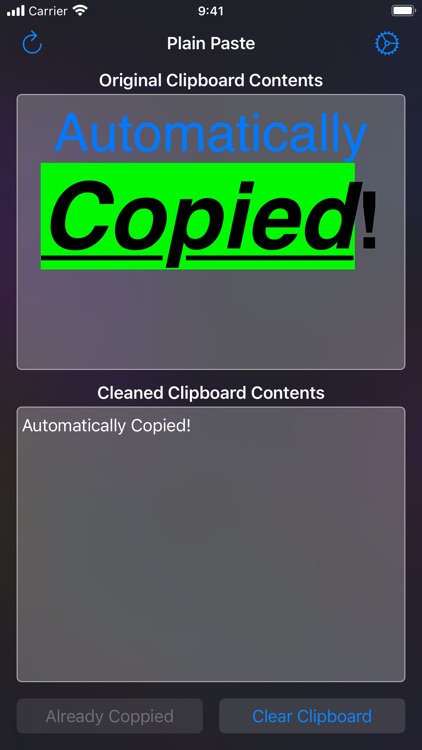 Plain Paste screenshot-5