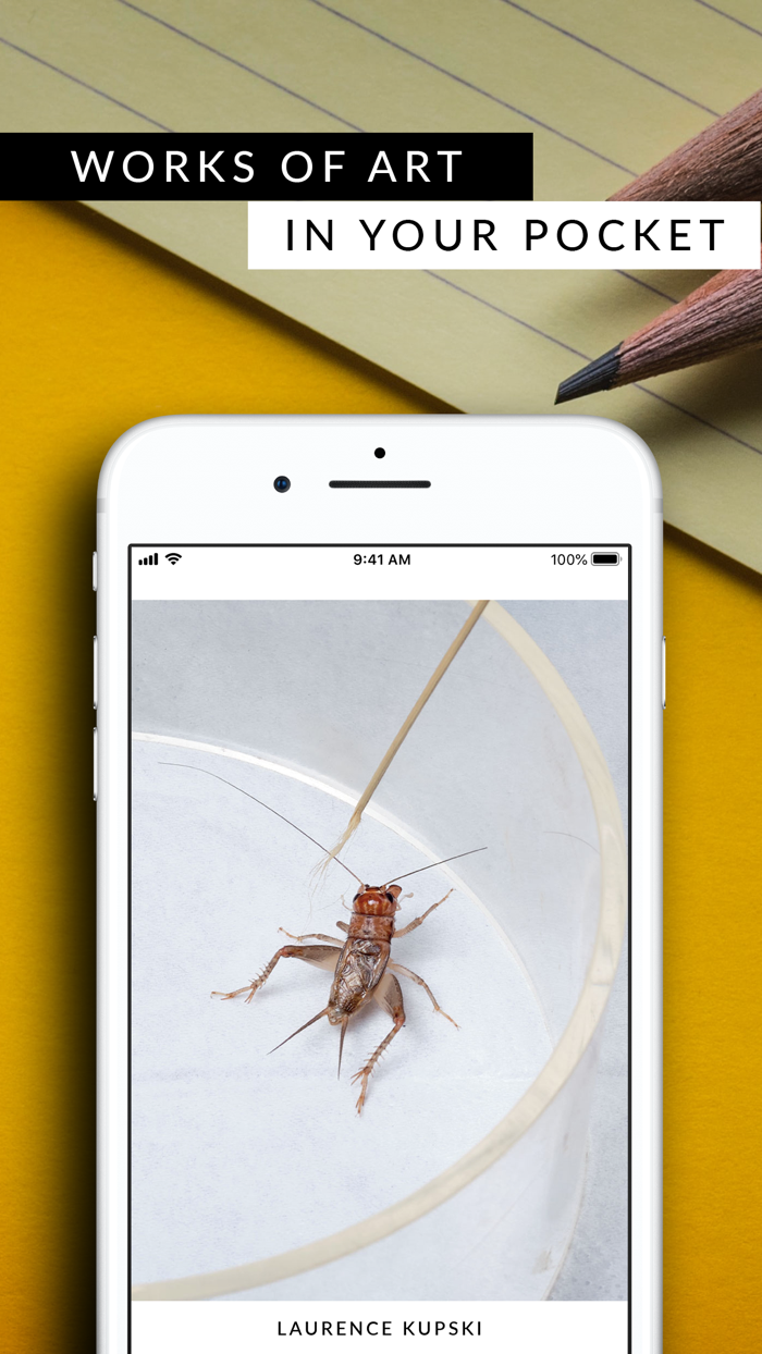 Contemporary Lynx Magazine