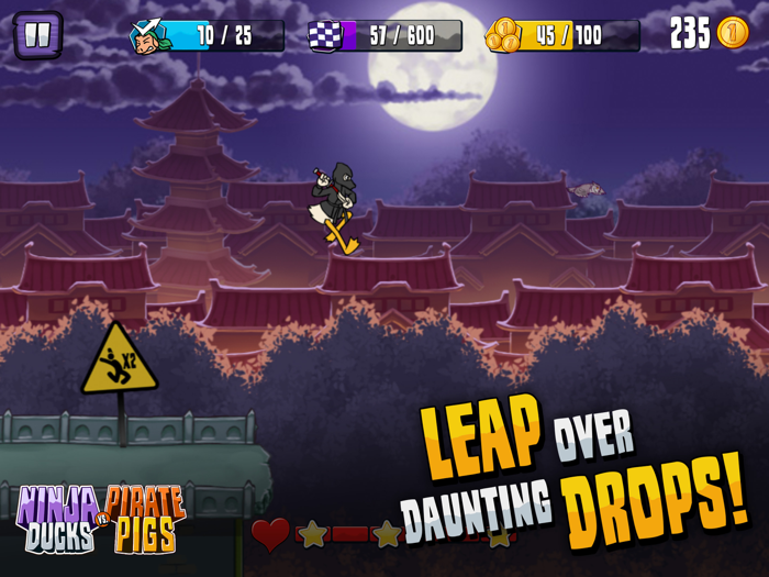 Ninja Ducks vs. Pirate Pigs