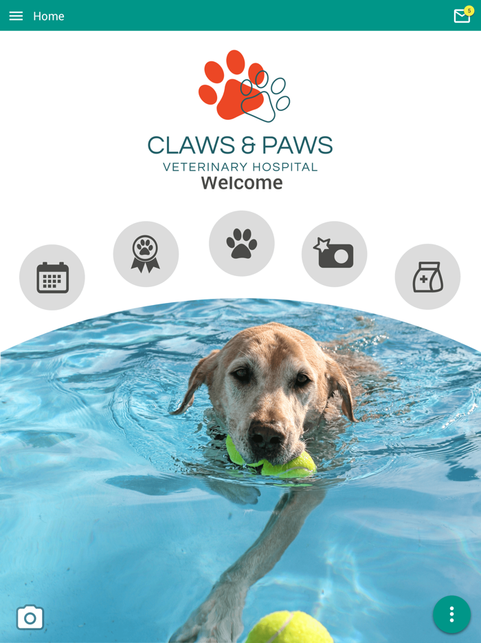 Claws  Paws Vet Hospital