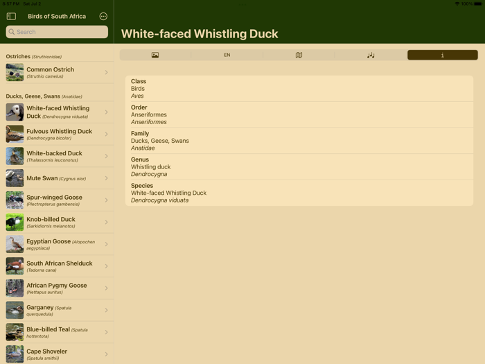 Birds of South Africa