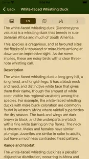 birds of zimbabwe iphone screenshot 3