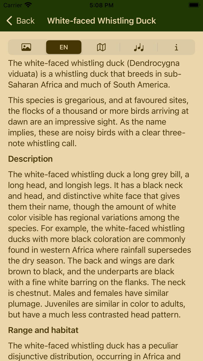 Birds of Zimbabwe