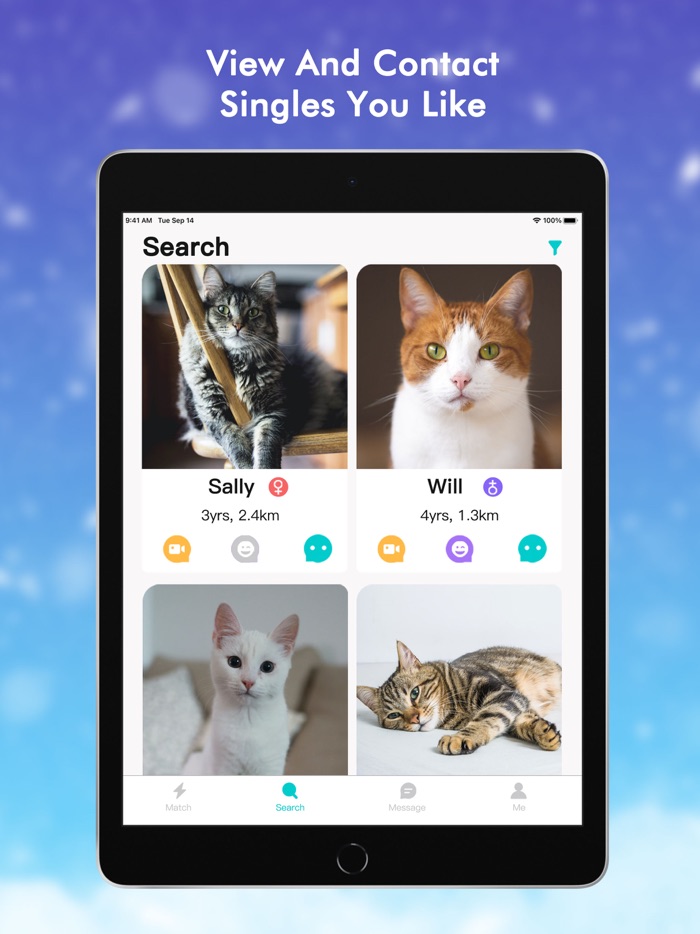 CatLand Breeding  Adoption