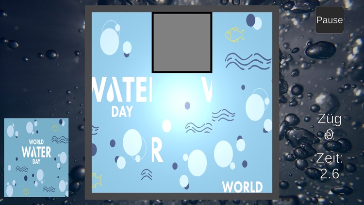 WeltWassertag Schiebepuzzle