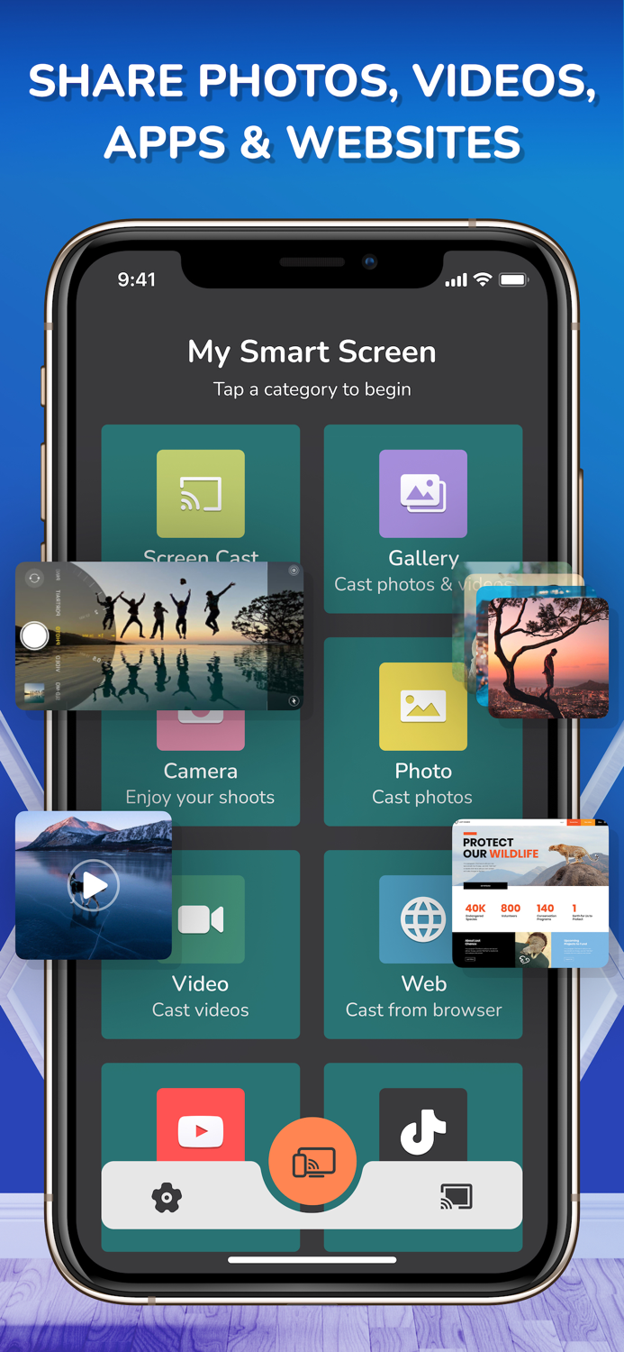 Screen Mirroring  TV Stream