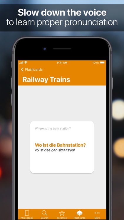 SpeakEasy Phrases & Flashcards screenshot-3