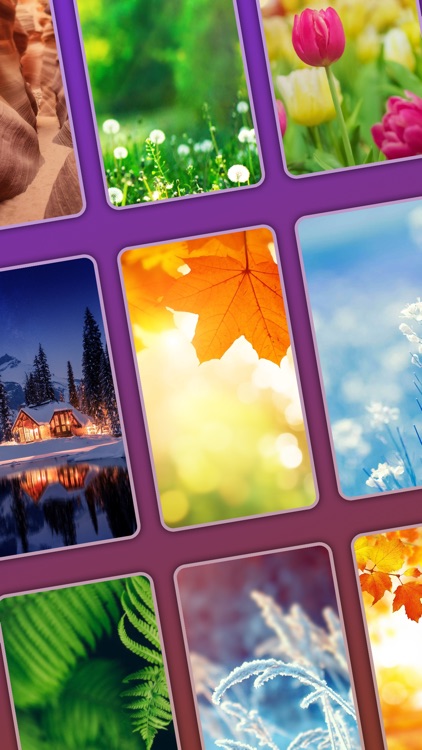 Word Crossy - Brain Games screenshot-3