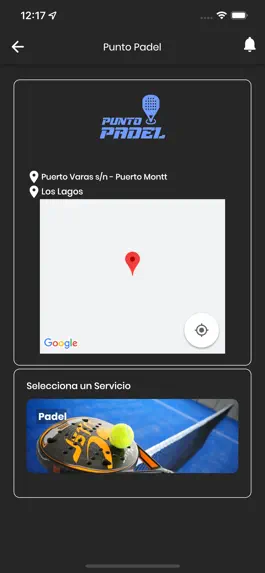 Game screenshot Punto Padel hack